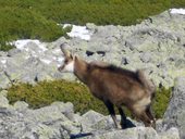Po tatranské magistrále z Hrebienku přes Veľkou Svišťovku na Chatu pri Zelenom plese, Vysoké Tatry, Slovensko