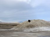 Salar de Surire, Chile