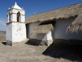 Odolná tváva Altiplana paja brava na střeše kostela v obci Tacora, Chile