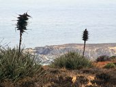 Antofagasta - La Serena, Chile