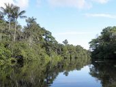 Lagunas Cuyabeno, Ekvádor