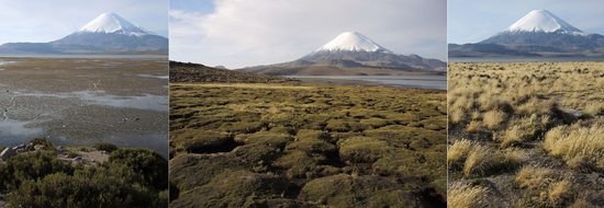 3x vulkán Parinacota (6248m), který dominuje Národnímu parku Lauca, Chile