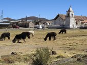 Kostelík ze 17. století z hliněných vepřovic, Isluga, Chile