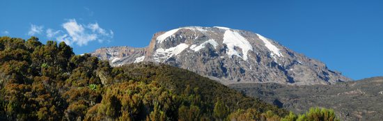 Kilimandžáro (5895m) - pohled z cesty Umbwe