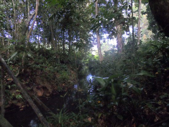 Vodopád v džungli, Indonésie