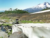 Pohled na vulkán Llaima (3125m) ze stezky Sierra Nevada, národní park Conguillío