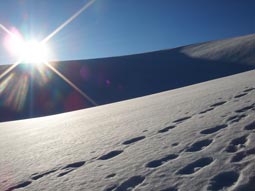 Pohled na ledovec Niederjochferner - výstup na Similaun (3606m).