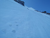 Gran Paradiso (4061m)