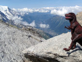 Petite Aiguille Verte (3512m)