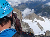 Petite Aiguille Verte (3512m)