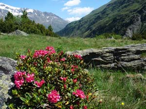 Krásné údolí Niedertal kousek nad obcí Vent (1896m).