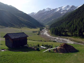 Weisskugel / Palla Bianca (3739m)