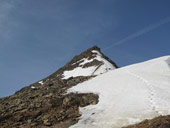 Weisskugel / Palla Bianca (3739m)