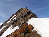 Weisskugel / Palla Bianca (3739m)