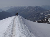 Weisskugel / Palla Bianca (3739m)