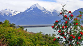 Mt Cook (3755m), Nový Zéland