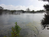 Rotorua, Nový Zéland