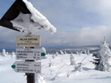 Velká Deštná (1115m), Orlické hory