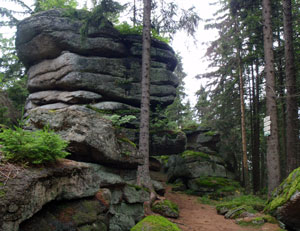 Vrchol Kamence (1072m)/Novohradské hory.