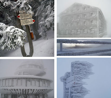 Výstup na Sněžku (1603m).