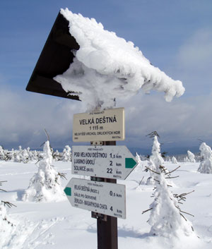 Vrchol Velká Deštná (1115m)/Orlické hory.