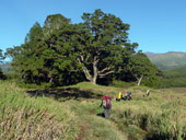 Minto´s Hut, Mt. Kenya, Keňa