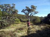 Minto´s Hut, Mt. Kenya, Keňa