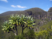 Minto´s Hut, Mt. Kenya, Keňa