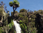 Minto´s Hut, Mt. Kenya, Keňa