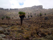 Minto´s Hut, Mt. Kenya, Keňa