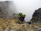 Minto´s Hut, Mt. Kenya, Keňa