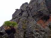 Minto´s Hut, Mt. Kenya, Keňa