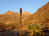 Point Lenana (4985m), Mt. Kenya, Keňa