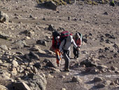 Point Lenana (4985m), Mt. Kenya, Keňa