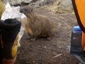 Point Lenana (4985m), Mt. Kenya, Keňa