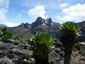 Point Lenana (4985m), Mt. Kenya, Keňa
