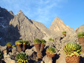 Sirimon Route, Mt. Kenya, Keňa