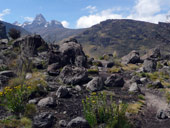 Sirimon Route, Mt. Kenya, Keňa