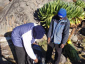 Sirimon Route, Mt. Kenya, Keňa