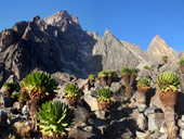 Sirimon Route, Mt. Kenya, Keňa