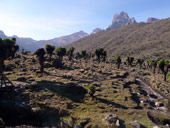 Sirimon Route, Mt. Kenya, Keňa