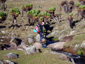 Sirimon Route, Mt. Kenya, Keňa