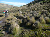 Sirimon Route, Mt. Kenya, Keňa