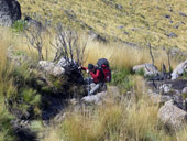 Sirimon Route, Mt. Kenya, Keňa