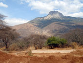 Cesta z Nanyuki do Moshi, Keňa - Tanzanie