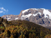 Kilimandžáro - Umbwe Route, Tanzanie