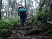 Kilimandžáro - Umbwe Route, Tanzanie