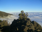 Kilimandžáro - Umbwe Route, Tanzanie