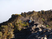 Kilimandžáro - Umbwe Route, Tanzanie