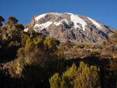 Kilimandžáro - Umbwe Route, Tanzanie